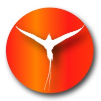 Ornithology and Birding School logo - Similar company to Field Ornithology Group Of Sri Lanka