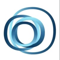Netsuite by Top Group logo - Similar company to Suitetech - Premium Boutique Netsuite Service