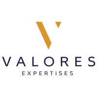 Valores Expertises logo - Similar company to Ml Consulting