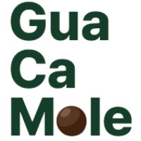 Guacamole company logo - Similar company to Impactlabs