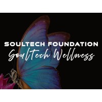 SoulTech Foundation logo - Similar company to Dreamweaver Brand Communications