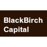 BlackBirch Capital Limited logo - Similar company to Blackbit Limited