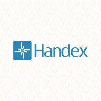 Handex logo - Similar company to Technest