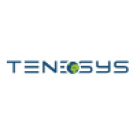 TENESYS logo - Similar company to Grimm.Lt, Mb