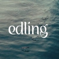 edling agency logo - Similar company to Mega Vibe