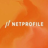 Netprofile logo - Similar company to Valo Future