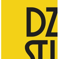 DZ Studio logo - Similar company to Brokenjars Interactive