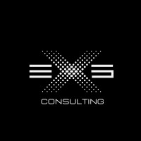EXS Consulting logo - Similar company to Casmin Group