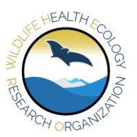 Wildlife Health Ecology Research Organization logo - Similar company to Ucsc Ferp Forest Ecology Research Plot