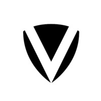 Virtesys LLP logo - Similar company to Lybasalman.Studio