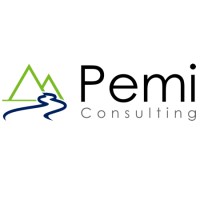 Pemi Consulting