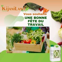 Kijaniland Sénégal(Officielle) logo - Similar company to Sedagri