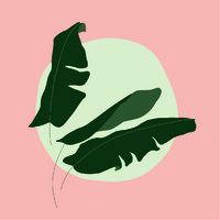 Studio Musa Interiors logo - Similar company to La Musa Design Studio