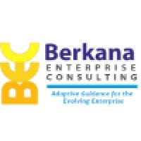 Berkana Enterprise Consulting logo - Similar company to V4 Development, Llc.