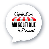 Fédération Nationale des Boutiques à l'Essai logo - Similar company to Netysoft