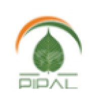 Pipal Infotech Chennai