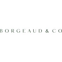 Borgeaud & Co logo - Similar company to Daraco It Services