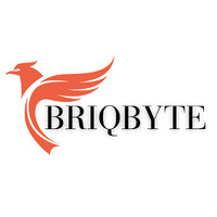BRIQBYTE LTD logo - Similar company to Rawmen Green