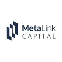 MetaLink Capital logo - Similar company to Stableport