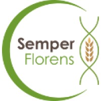 Semper Florens