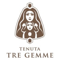Tenuta Tre Gemme logo - Similar company to Valle Reale