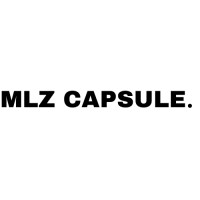 mlz capsule logo - Similar company to Boucher Conseil