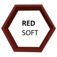 RED SOFT TI logo - Similar company to Shah Consultancy