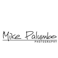 Mike Palumbo logo - Similar company to Philanthropi