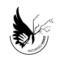Naturised Video logo - Similar company to Naturise