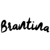 BRANTINA S.L logo - Similar company to Cesi D.O.O.