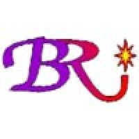 Burgener Research Inc. logo - Similar company to What'S The Plan?