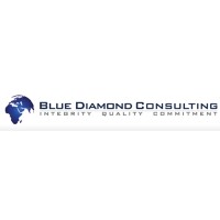 Blue Diamond Consulting, LLC logo - Similar company to Elytics