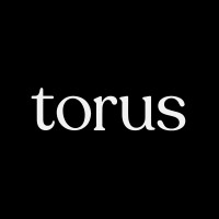 Torus Studio logo - Similar company to Gartic