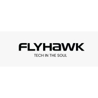 Flyhawk Electronics logo - Similar company to Checkmateittech