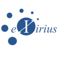 eXirius IT Dienstleistungen GmbH logo - Similar company to Amotiq Solutions
