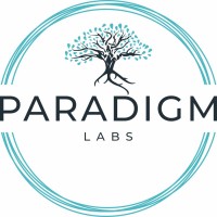 Paradigm Labs logo - Similar company to Tidal Equality