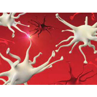 Clinical Neuroscience Bern logo - Similar company to Neurodaignostics