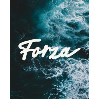 Forza Consulting logo - Similar company to Cargo