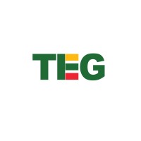 TEG_ HOLDINGS logo - Similar company to Brown Grow (Pvt) Ltd