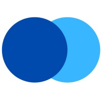 Synergy IT Services Ltd. logo - Similar company to Digital Run Ltd
