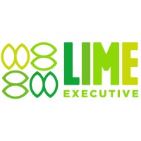 Lime Executive logo - Similar company to Amk Aviation Inc