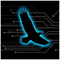 Limitless Automation Company logo - Similar company to Lithium Development