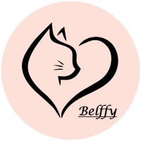 Belffy Ltd logo - Similar company to Belfy