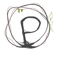 P.O.P
