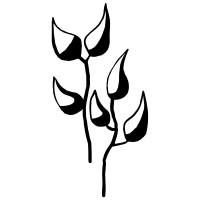 Trees in Newcastle logo - Similar company to Hunter Valley Wildlife Park