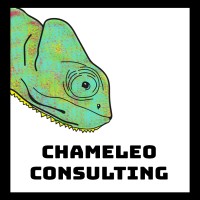 Chameleo Consulting