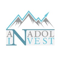 anadolinvest logo - Similar company to Startup Blockchain