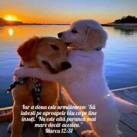 s logo - Similar company to Sofimat