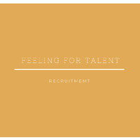 Feeling for Talent logo - Similar company to Fae Nuit Studio
