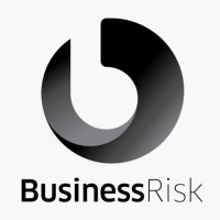 Business Risk Investments logo - Similar company to Software Risk